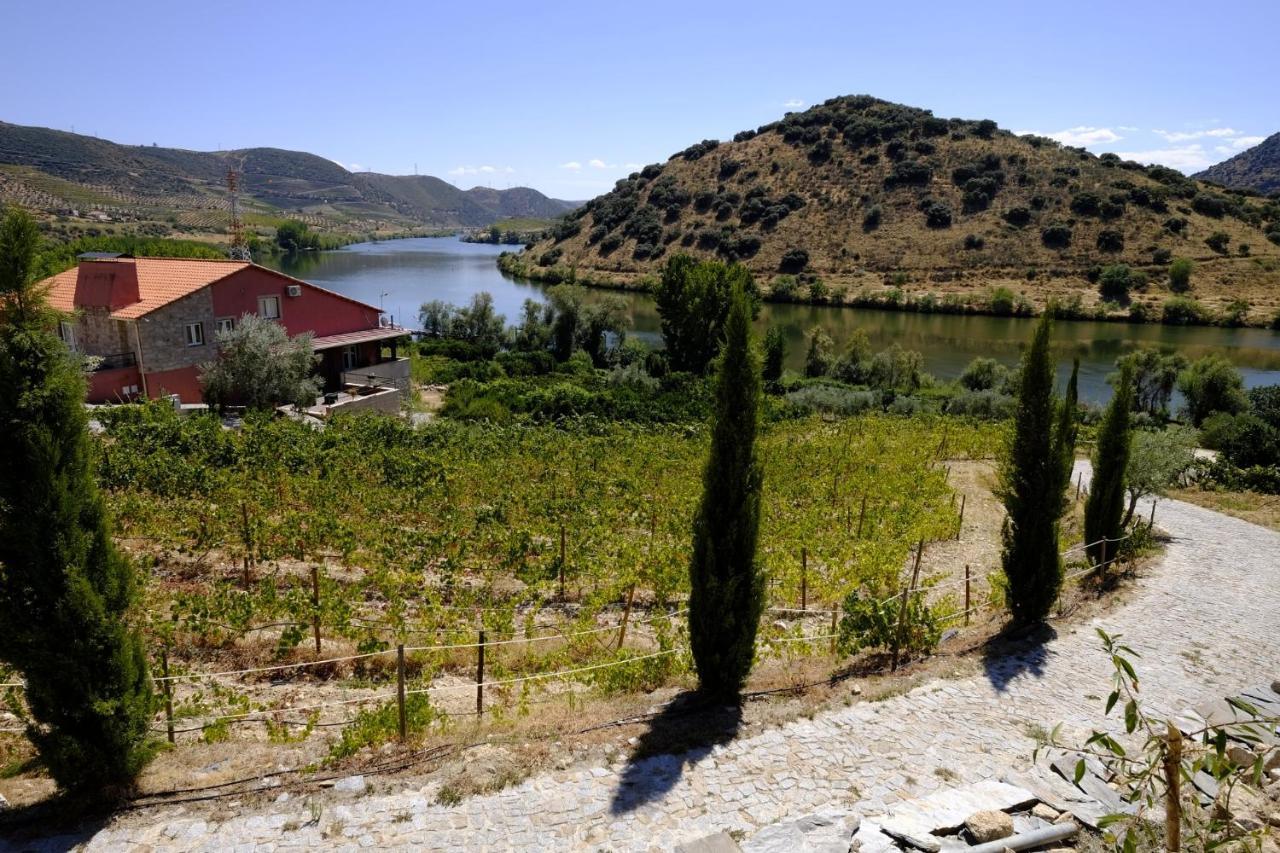 منزل الضيف توري دي مونكورفو  في Olhares Do Douro المظهر الخارجي الصورة