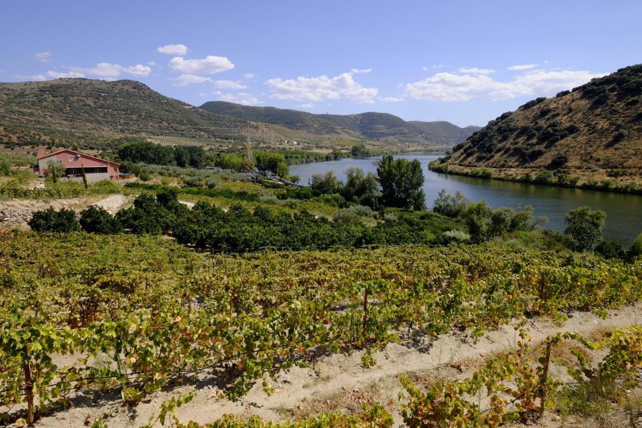منزل الضيف توري دي مونكورفو  في Olhares Do Douro المظهر الخارجي الصورة