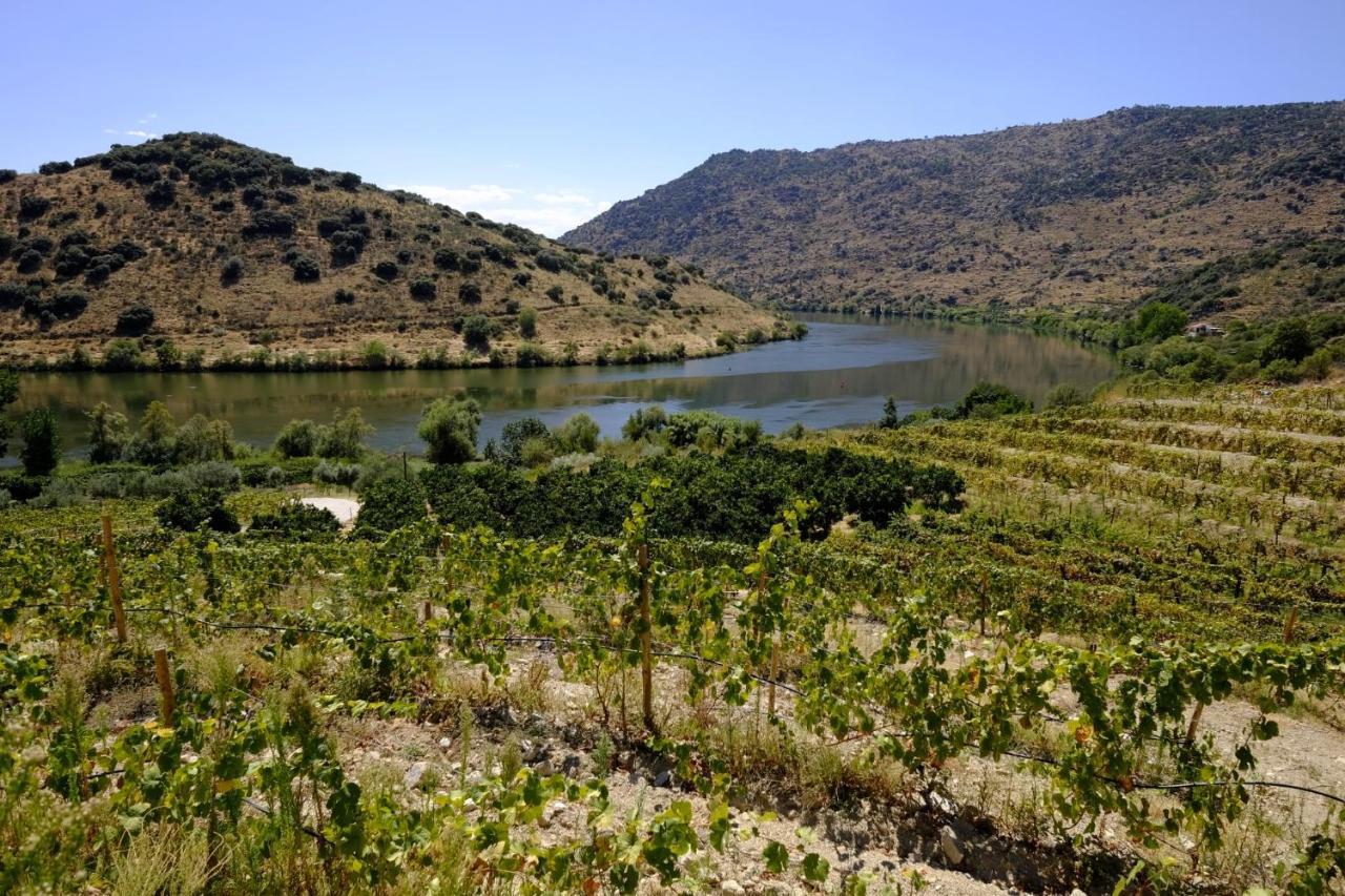 منزل الضيف توري دي مونكورفو  في Olhares Do Douro المظهر الخارجي الصورة